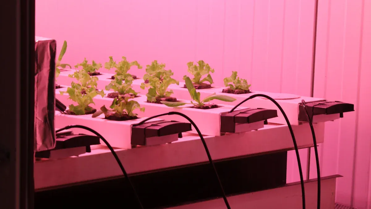 Могу ли вертикална светла за раст заиста помоћи вашим биљкама да боље расту