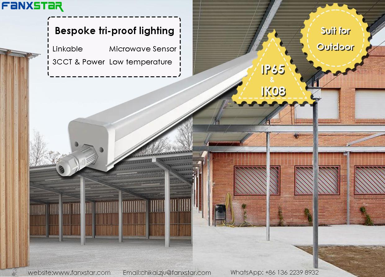 LED Tri-Proof Light